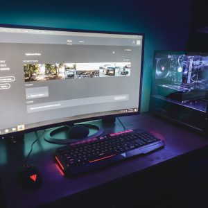 Online Gaming on a PC - Selection of video games