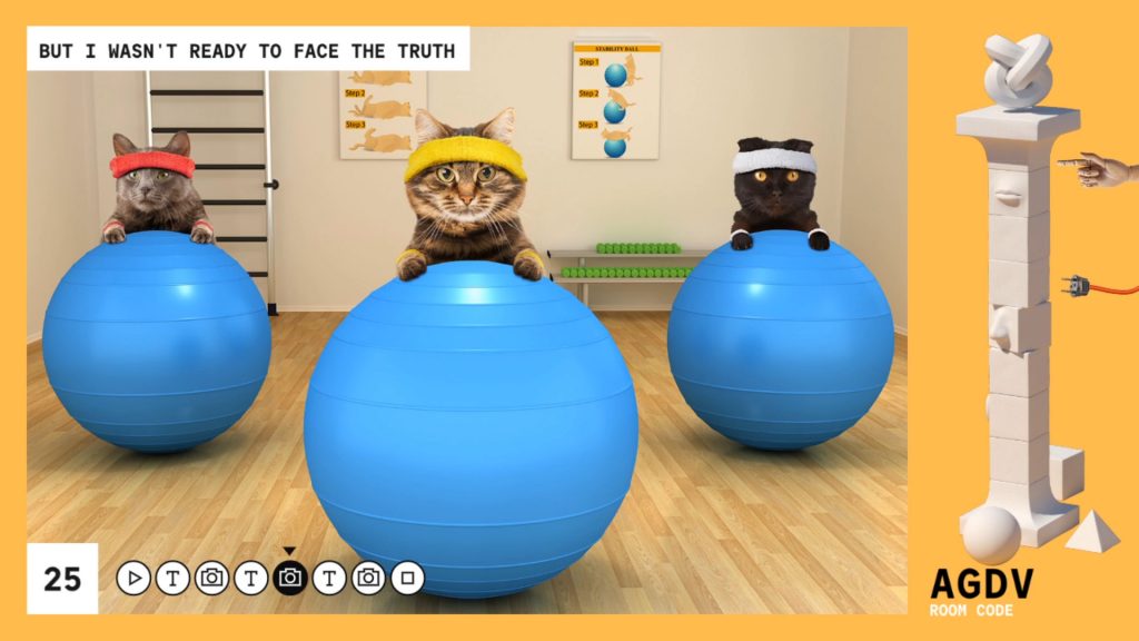 Talking Points slide with cats behind exercise balls and wearing sweat bands