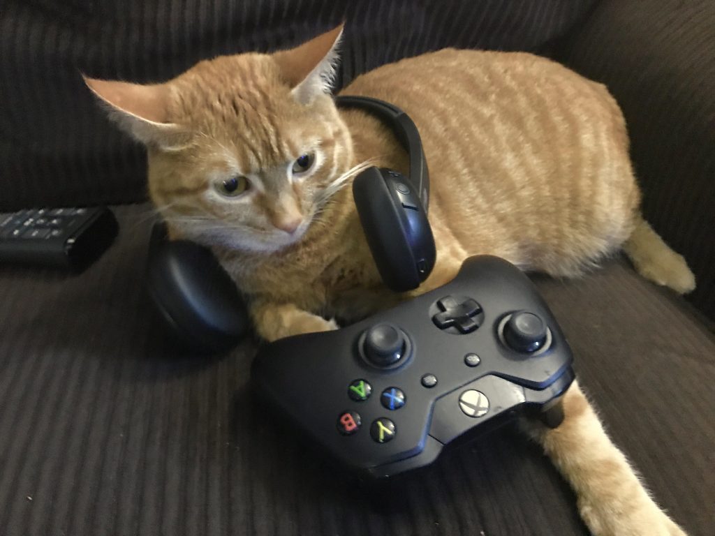 Cat with a headset around it's head in front of a game controller