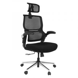 Flexispot Flexi-Chair