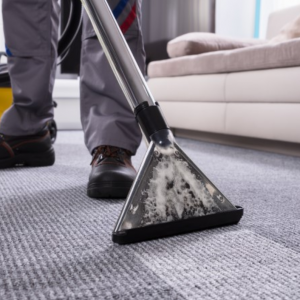 Carpet Cleaning using a Carpet Cleaner