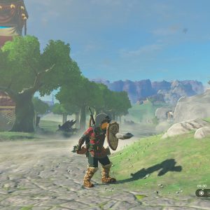 Legend of Zelda: Tears of the Kingdom gameplay