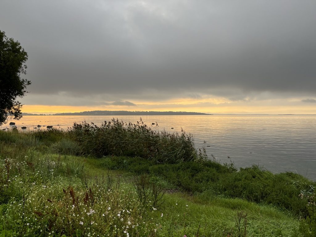 Midgardsblot Campsite view