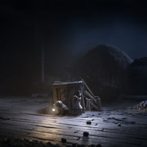 REANIMAL - Hiding Behind Crate