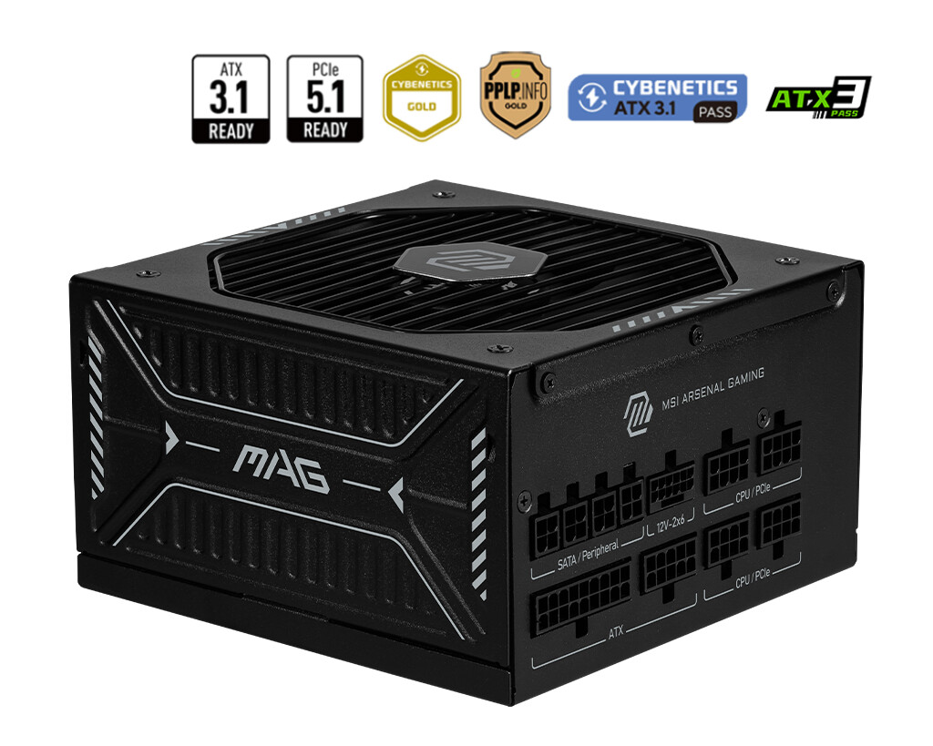 MSI MAG A1000GLS PCIE5 Power Supply and Certifications