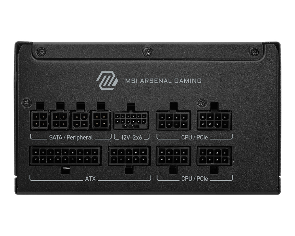 MSI MAG A1000GLS PCIE5 - Ports