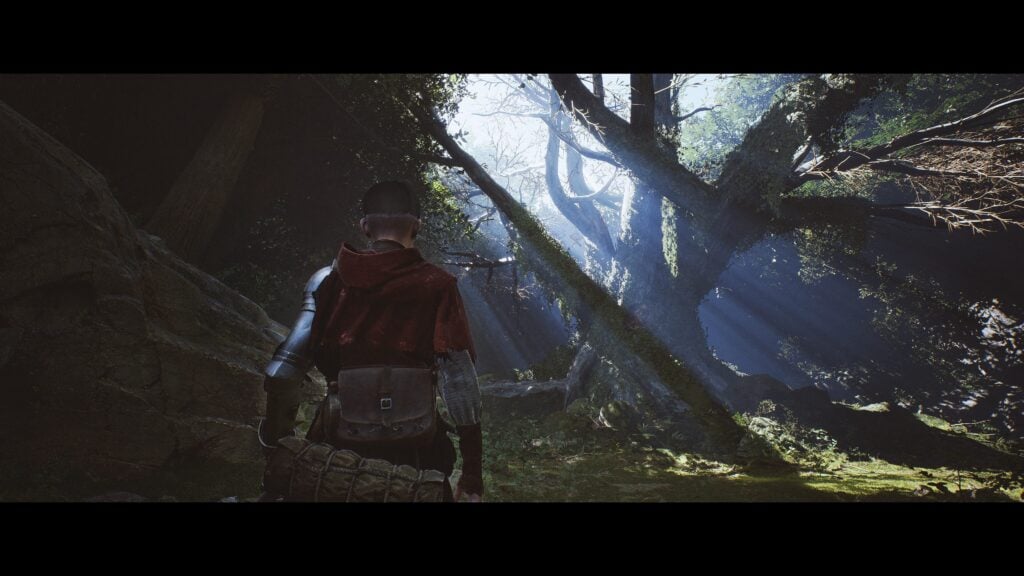 1348 Ex Voto - forest