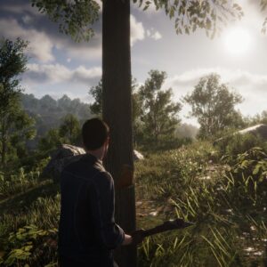 CrisisX - chopping a tree